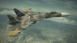 <a href=news_dlc_pour_ace_combat_6-5884_fr.html>DLC pour Ace Combat 6</a> - January DLC
