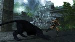 Images de Tomb Raider Underworld - 2 images