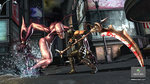 <a href=news_images_of_ninja_gaiden_2-6030_en.html>Images of Ninja Gaiden 2</a> - 13 images - Xbox.com