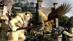 Images of Narnia: Prince Caspian - 10 Xbox 360 Images