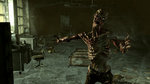 <a href=news_images_de_fallout_3-6294_fr.html>Images de Fallout 3</a> - 3 images