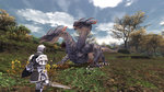 FFXI: 2008 Edition announced - 21 Images