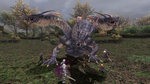 FFXI: 2008 Edition announced - 21 Images