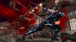 <a href=news_images_and_videos_of_ninja_gaiden_2-6445_en.html>Images and videos of Ninja Gaiden 2</a> - 14 images