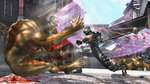 Images and videos of Ninja Gaiden 2 - Aqua Capital werewolf images