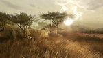 <a href=news_ubidays_images_de_far_cry_2-6559_fr.html>Ubidays: Images de Far Cry 2</a> - Ubidays images