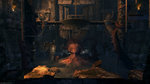 Image de Tomb Raider Underworld - 1 image