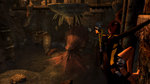 <a href=news_images_de_tomb_raider_underworld-6673_fr.html>Images de Tomb Raider Underworld</a> - 2 images