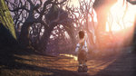 <a href=news_images_of_fable_2-6737_en.html>Images of Fable 2</a> - 8 images