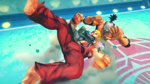 <a href=news_e3_street_fighter_iv_trailer-6800_en.html>E3: Street Fighter IV trailer</a> - E3: Images
