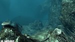 <a href=news_images_of_underwater_wars-6946_en.html>Images of Underwater Wars</a> - 7 images