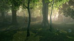 <a href=news_gc08_images_of_fable_2-7034_en.html>GC08: Images of Fable 2</a> - GC08 images