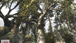 New Unreal Engine 3 images - 12 images d'arbres