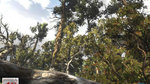 Nouvelles images de l'Unreal Engine 3 - 12 images d'arbres
