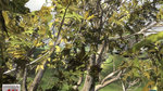 <a href=news_new_unreal_engine_3_images-1408_en.html>New Unreal Engine 3 images</a> - 12 images d'arbres