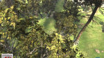 Nouvelles images de l'Unreal Engine 3 - 12 images d'arbres