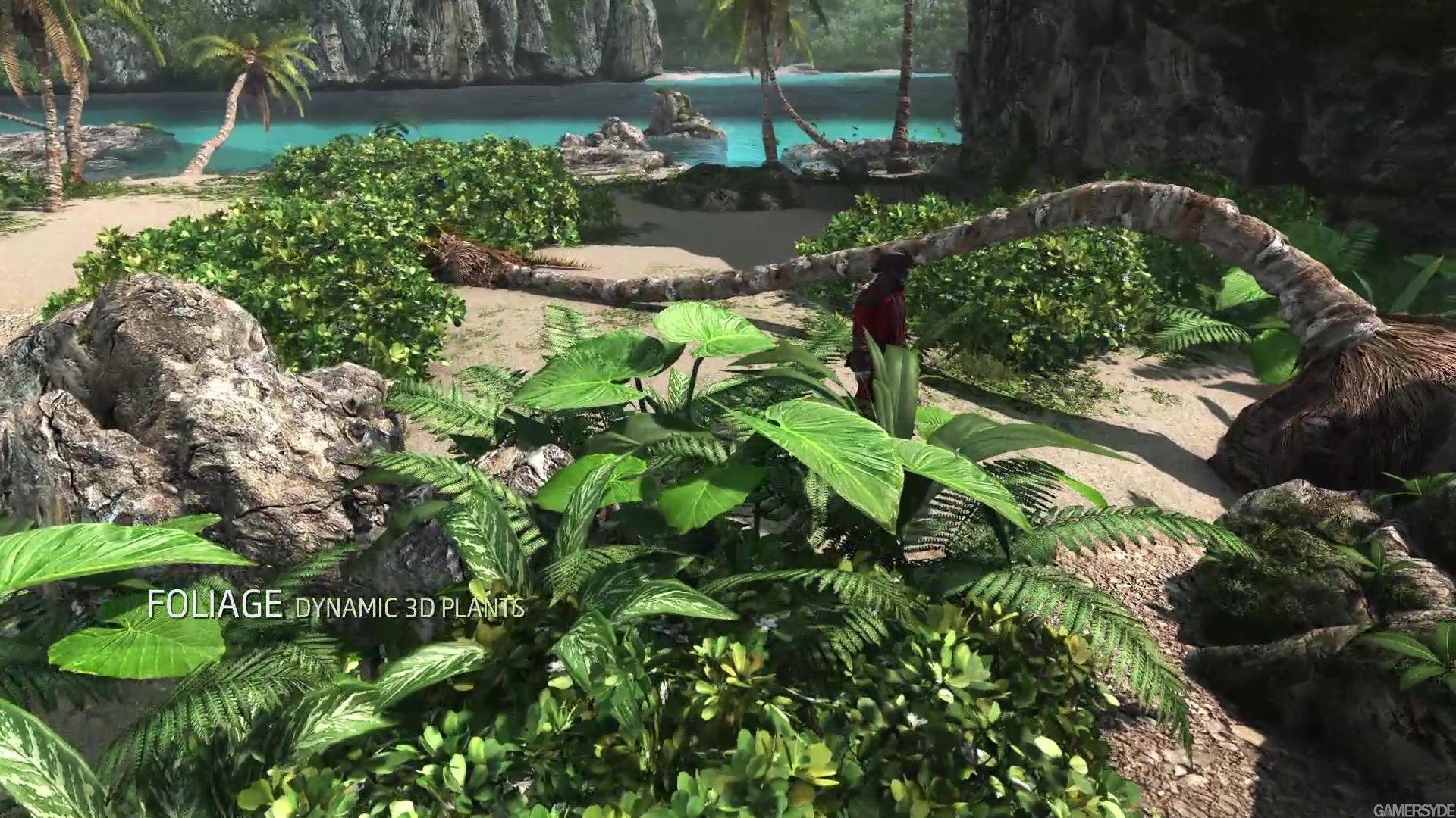 با تصاویر جدید Assassin’s Creed IV: Black Flag پیشرفت های گرافیکی را ببینید 