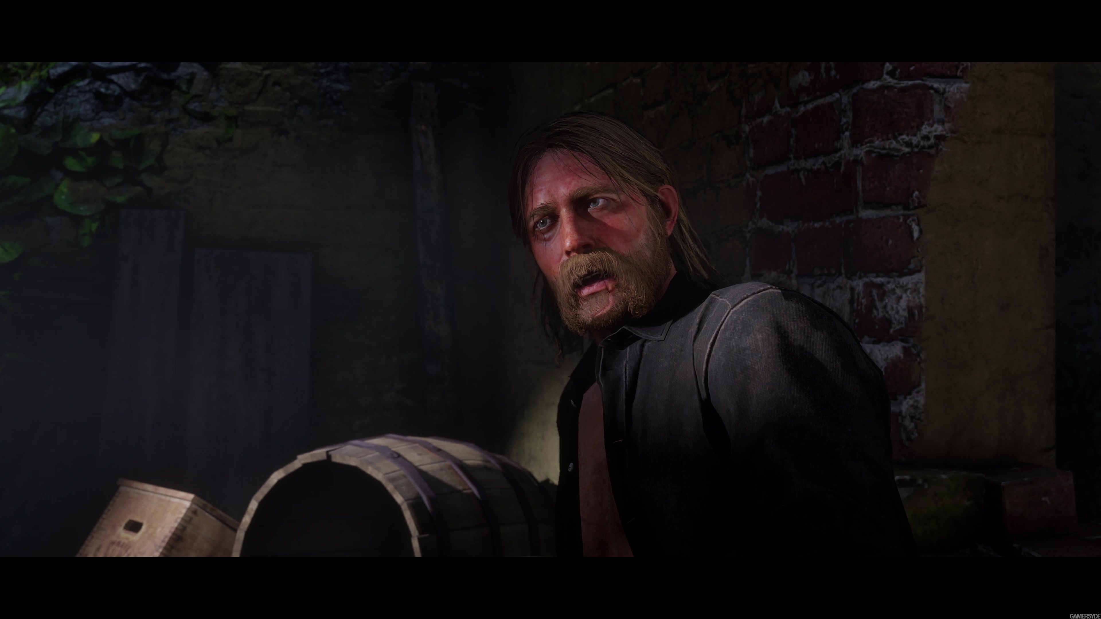 4K Trailer of Red Dead Redemption 2 on PC - Gamersyde