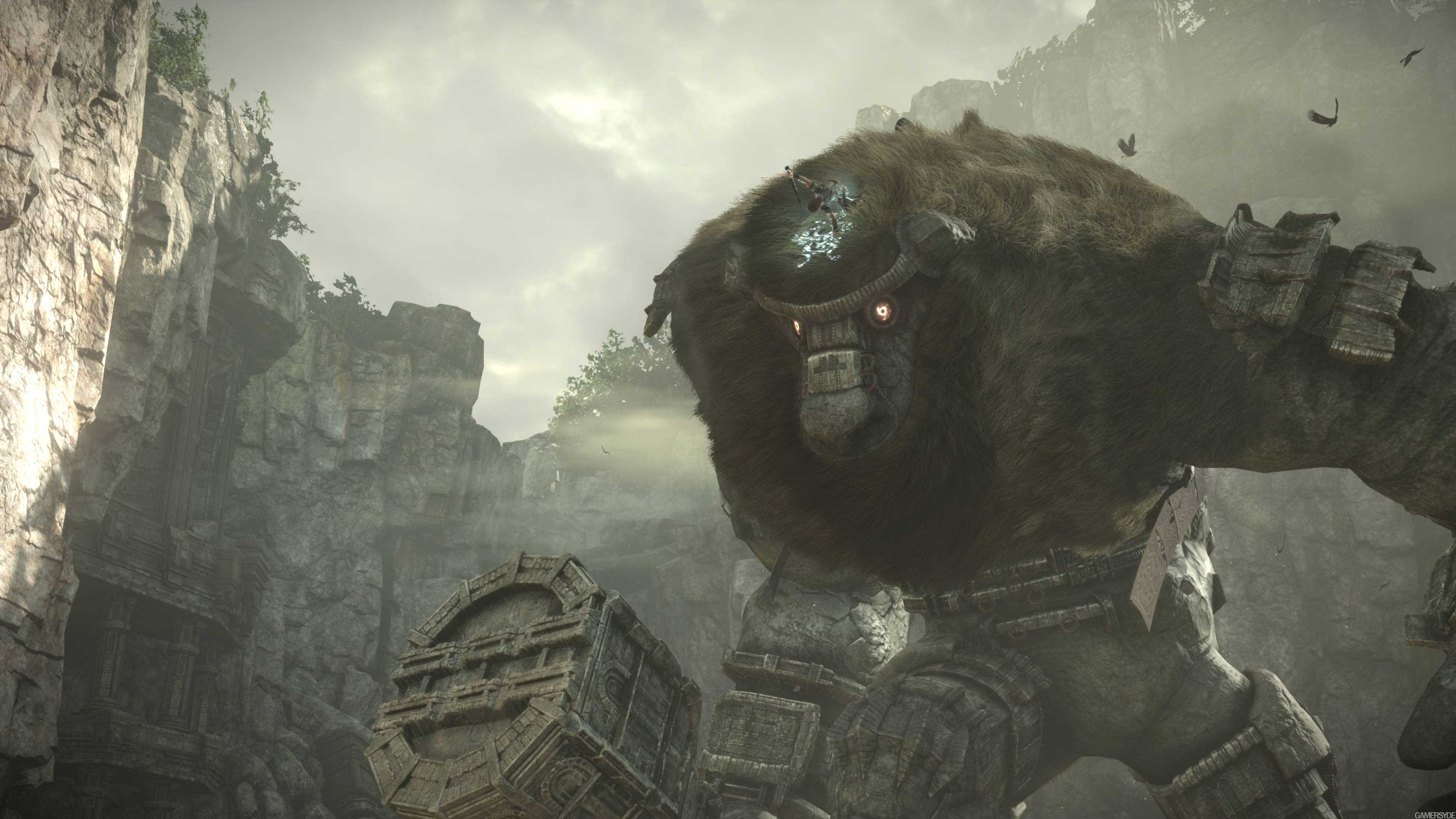 image_shadow_of_the_colossus-35814-910_0001.jpg