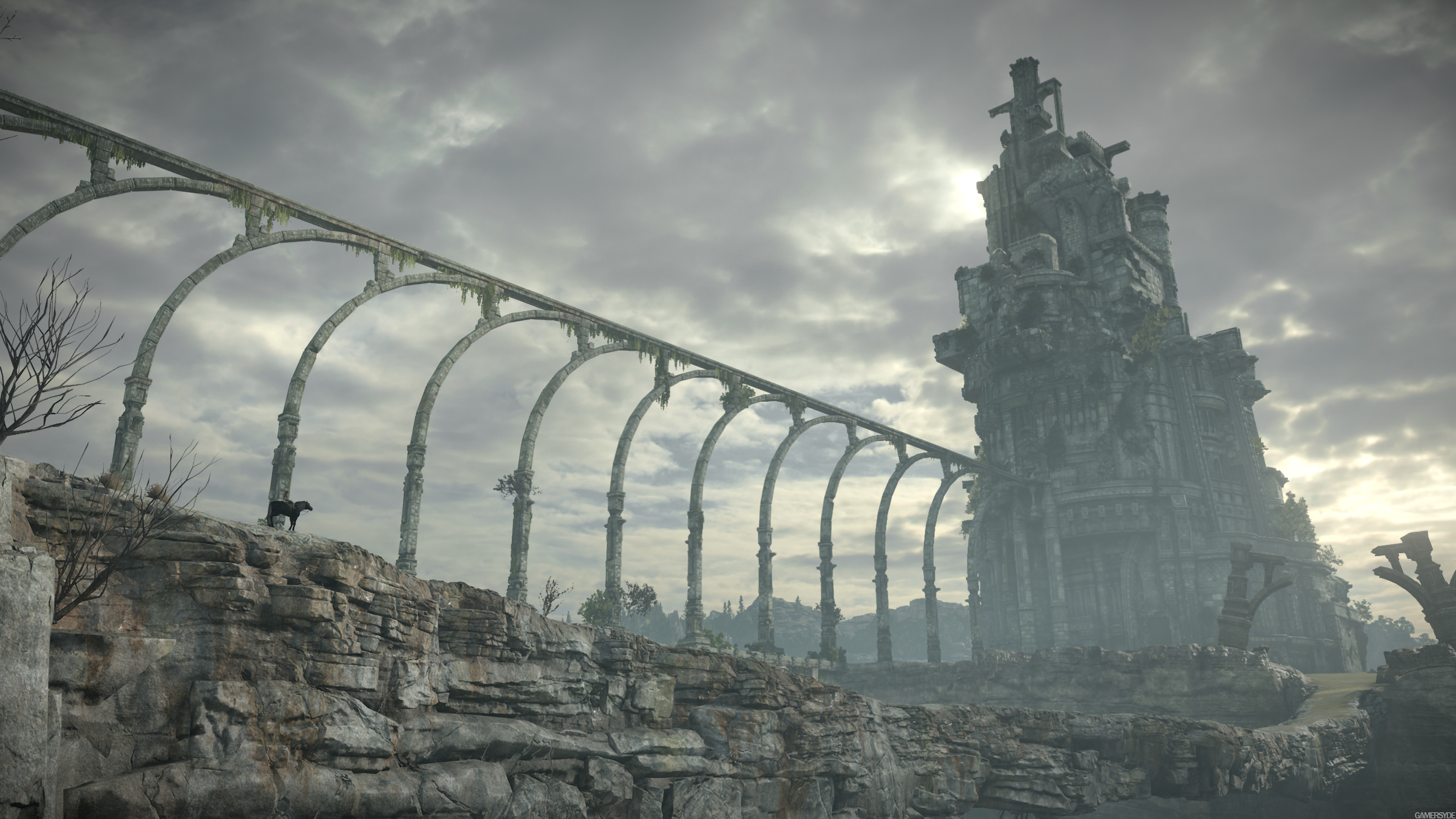 image_shadow_of_the_colossus-35814-910_0005.jpg