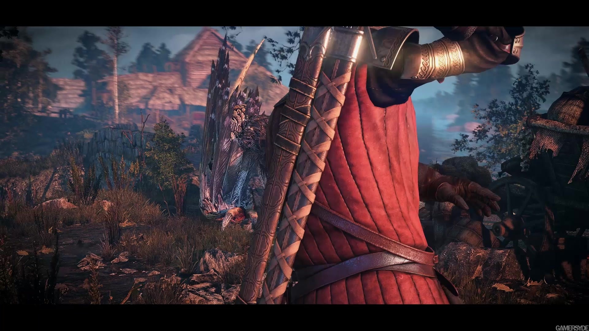 image_the_witcher_3_wild_hunt-23865-2651_0013.jpg