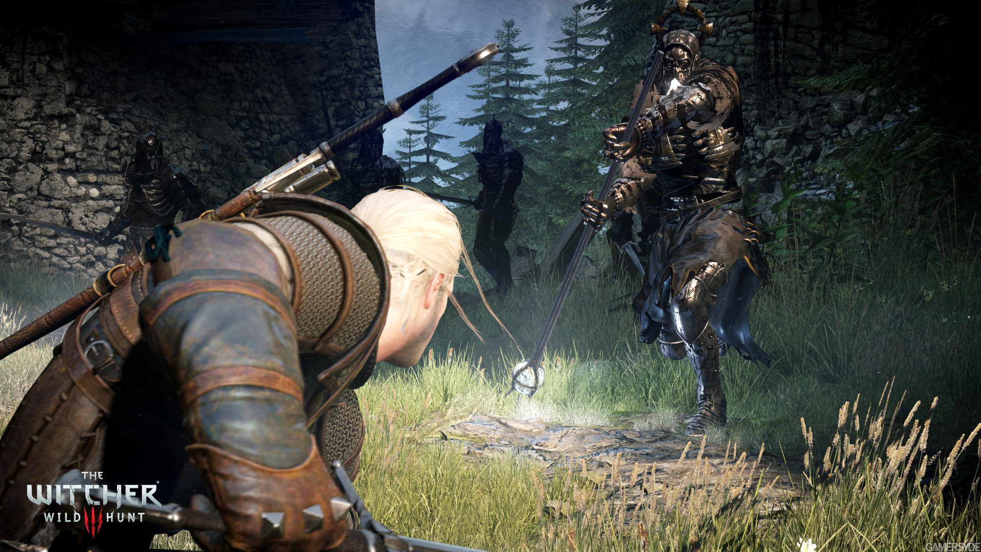 image_the_witcher_3_wild_hunt-25218-2651_0001.jpg