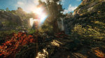 thumb_image_cryengine-27720-1805_0003.jp