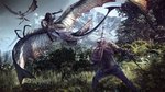 thumb image the witcher 3 wild hunt 22509 2651 0003 تصاویر جدید از بازی The Witcher 3: Wild Hunt