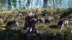 thumb image the witcher 3 wild hunt 22509 2651 0005 تصاویر جدید از بازی The Witcher 3: Wild Hunt