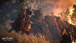 E3 2014 : تصاویری از The Witcher 3 : Wild Hunt منتشر شد 1
