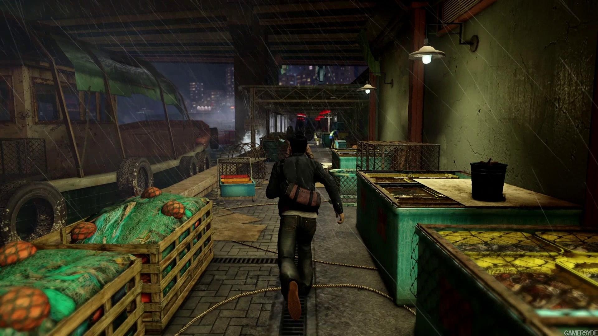 Sleeping Dogs - Download