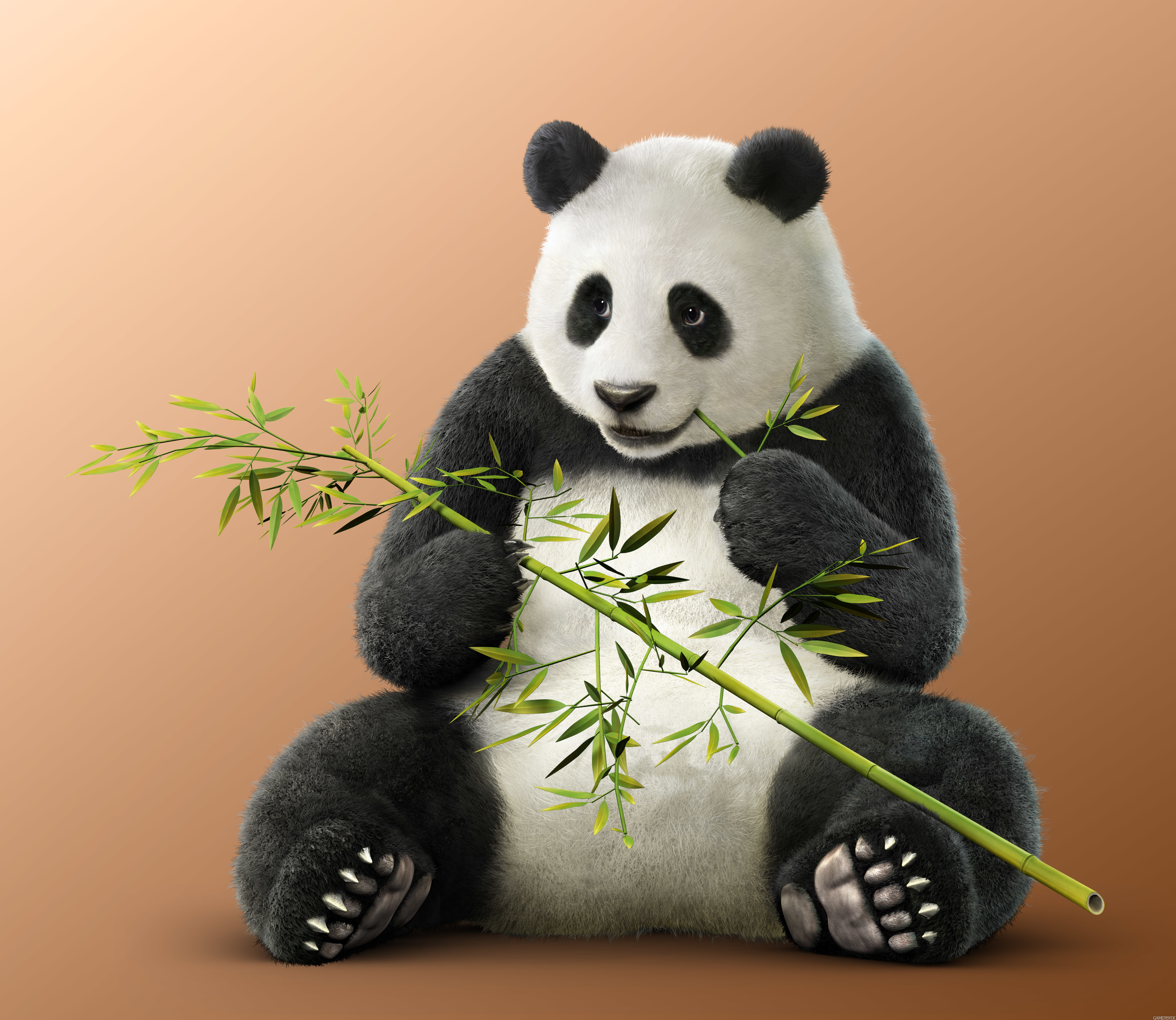Kuma & Panda join Tekken 7 - Gamersyde
